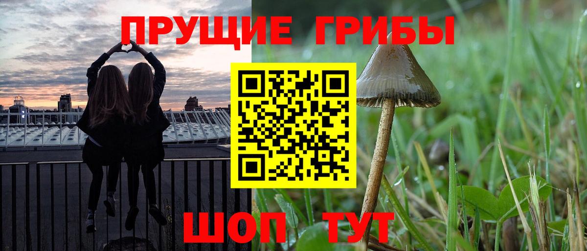 Галлюциногенные грибы Cubensis  Вход с VPN  Луга 